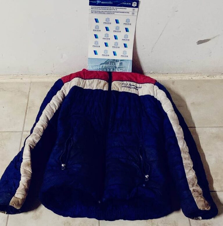 Menor de 15 años es detenido luego de haber roto vidrios de autos y varios hurtos