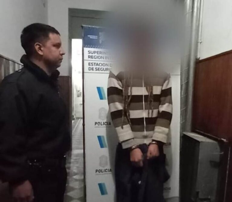 Detenciones por violencia familiar y alteración del Orden Público