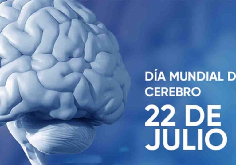 Día Mundial del Cerebro, único órgano del cuerpo humano irremplazable