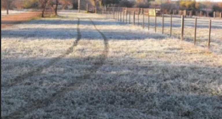 Se pronostica una semana de mucho frio y buen tiempo