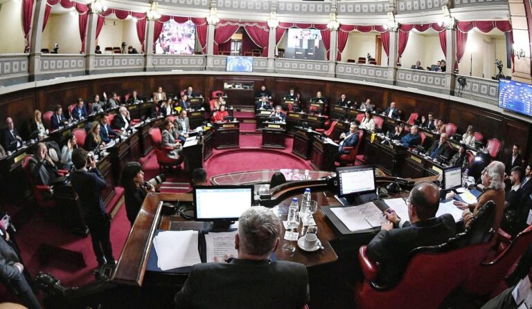 El Senado bonaerense aprobó un proyecto que garantiza derechos a personas con endometriosis