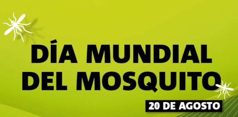 Día Mundial del Mosquito: un llamado global a la prevención de enfermedades