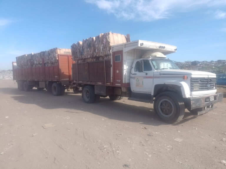 La Municipalidad realizó una nueva venta de cartón reciclado