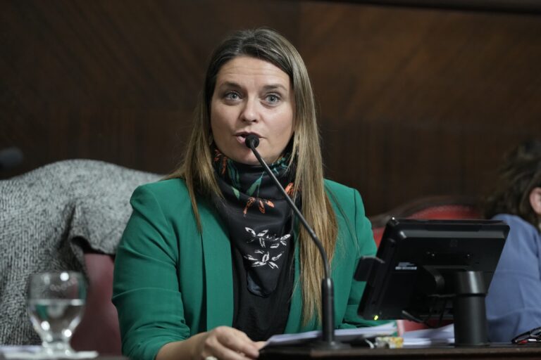Senadora bonaerense pide a Kicillof que gestione la recuperación de vías férreas