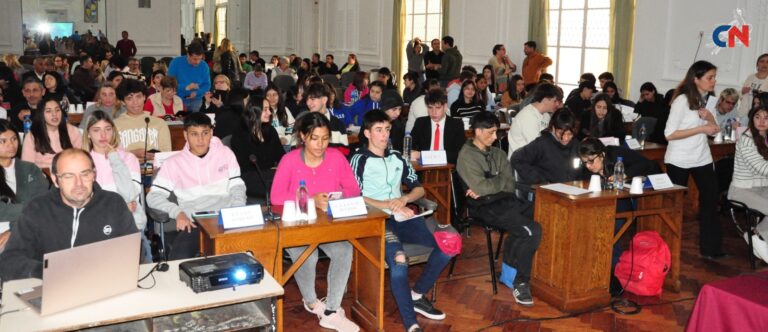 Sesión Estudiantil: Pedido de rotondas en Ruta 5 a la altura de Patricios, El Provincial y French