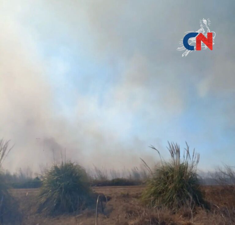 Incendio en un campo en cercanías de Morea