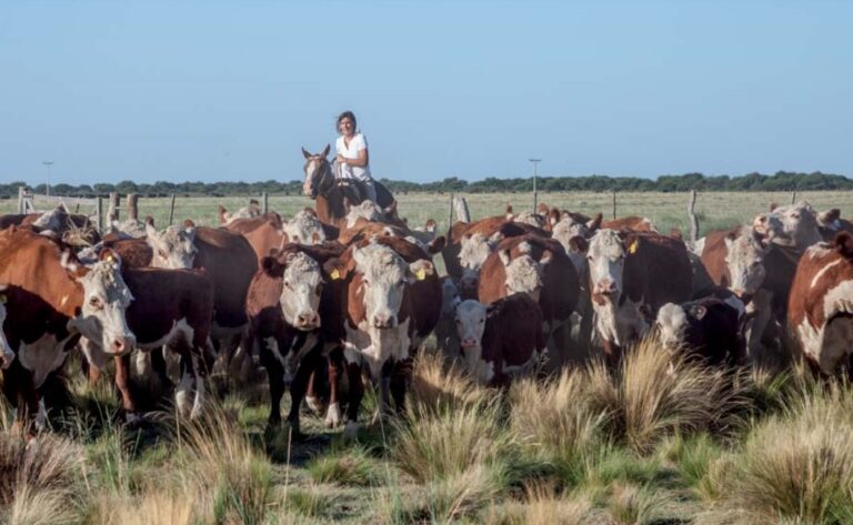 Mujeres Rurales: guardianas de la naturaleza por nuestro futuro