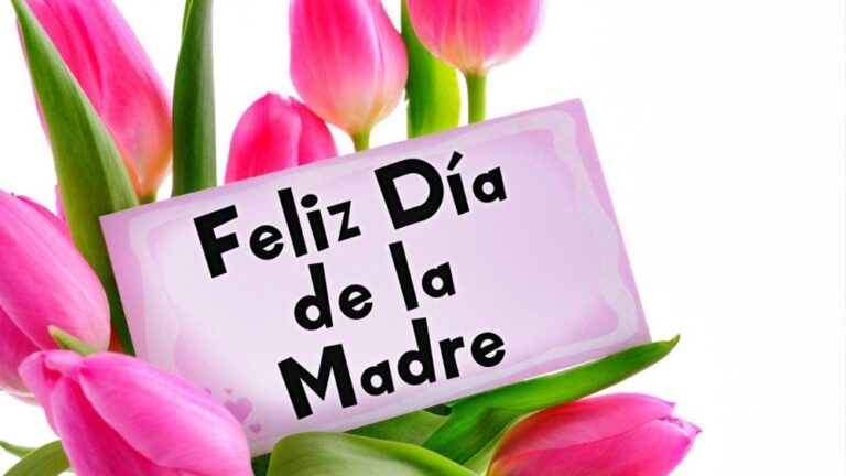 Día de la Madre: celebración de un amor incondicional y valores de vida únicos