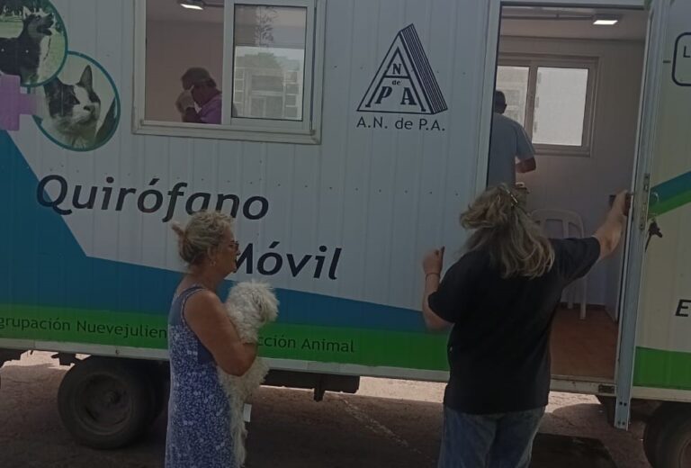 No cesan los controles de la población canina y felina