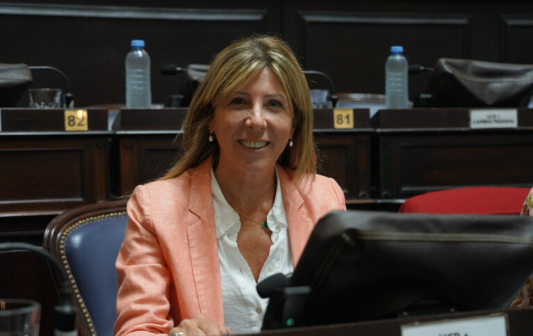 Silvina Vaccarezza fue distinguida como una diputada laboriosa del 2024