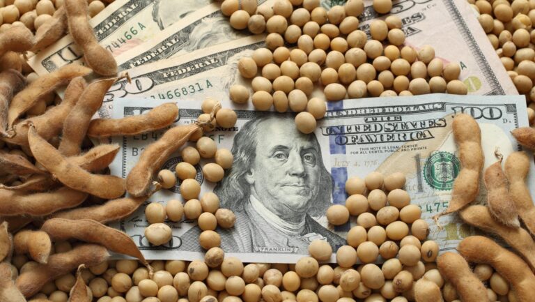 Las cerealeras deberán adherir al régimen de baja de retenciones para evitar que se mantengan las alícuotas previas.