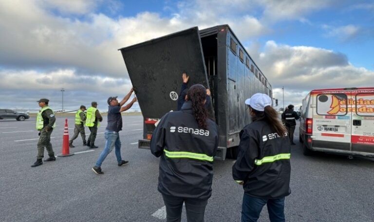 Creció el control en ruta a transportes de animales vivos y alimentos