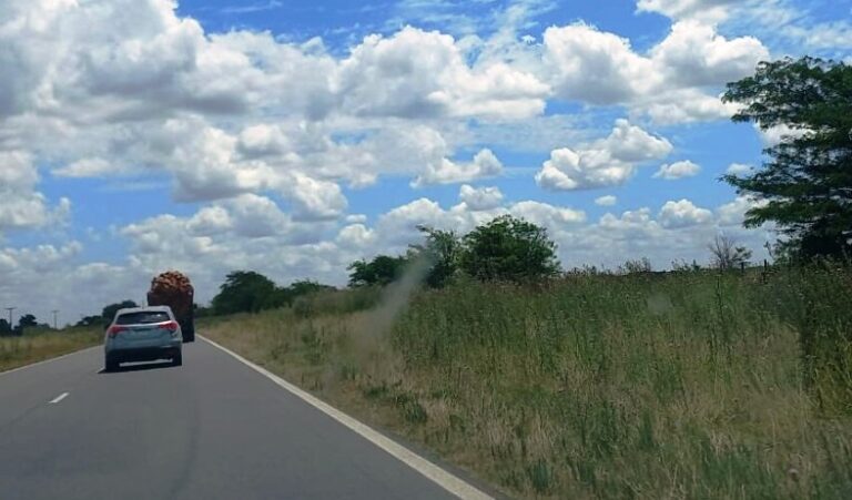 María José Gentile reclamó urgentes obras de mantenimiento para la Ruta 5