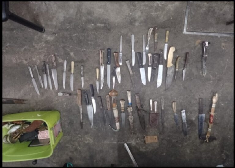 Viajaron desde Villa Tesei para robar en el distrito de Nueve de Julio