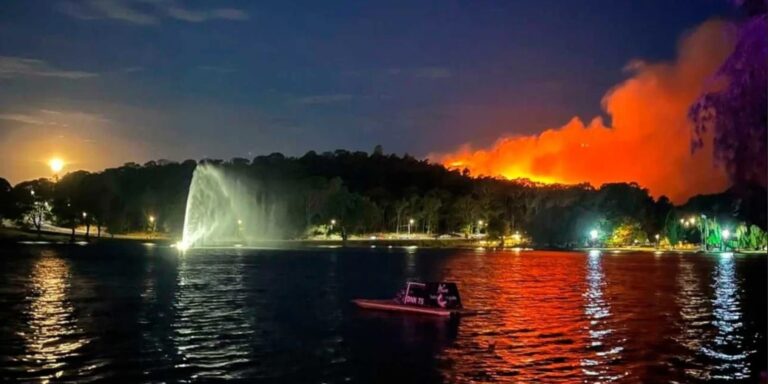 Despliegue del Gobierno de la Provincia ante un incendio forestal en Tandil: