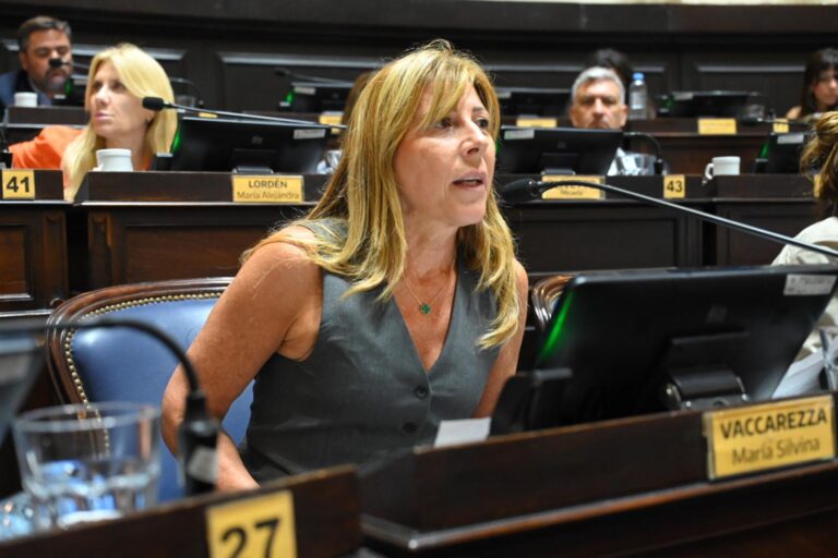 Proponen que la imagen institucional de la provincia no sea modificada por los gobiernos de turno