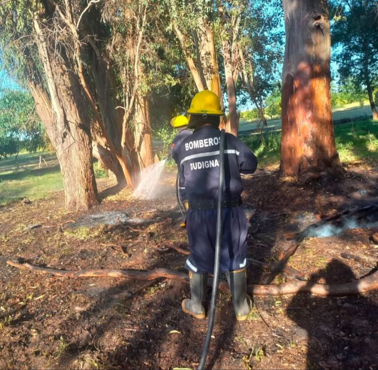 Bomberos Voluntarios de Dudignac combatieron un incendio en un campo en Morea