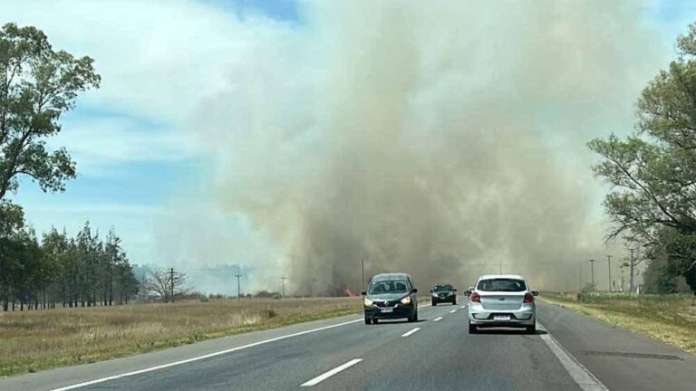 Alerta por una cortina de humo sobre la Ruta 205: Incendio afecta el tránsito en el km 88