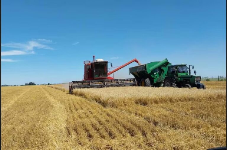 Silvina Vaccarezza: ‘El campo necesita previsibilidad, no parches momentáneos’