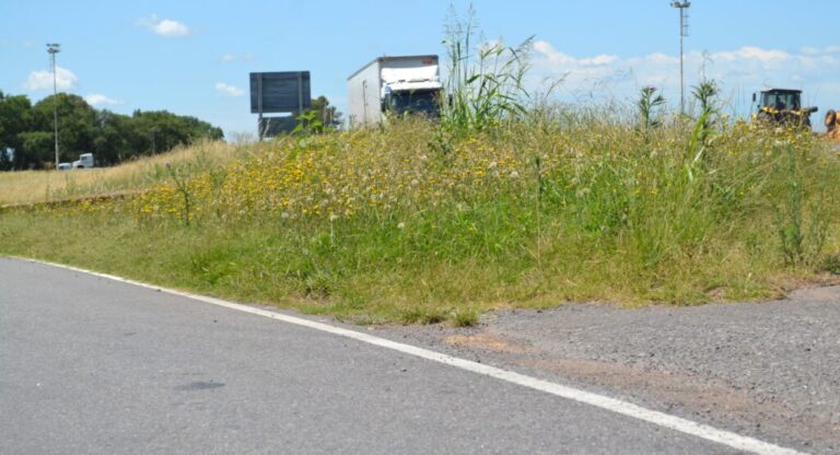 Quejas reiteradas de intendentes por el mal estado de la Ruta 5