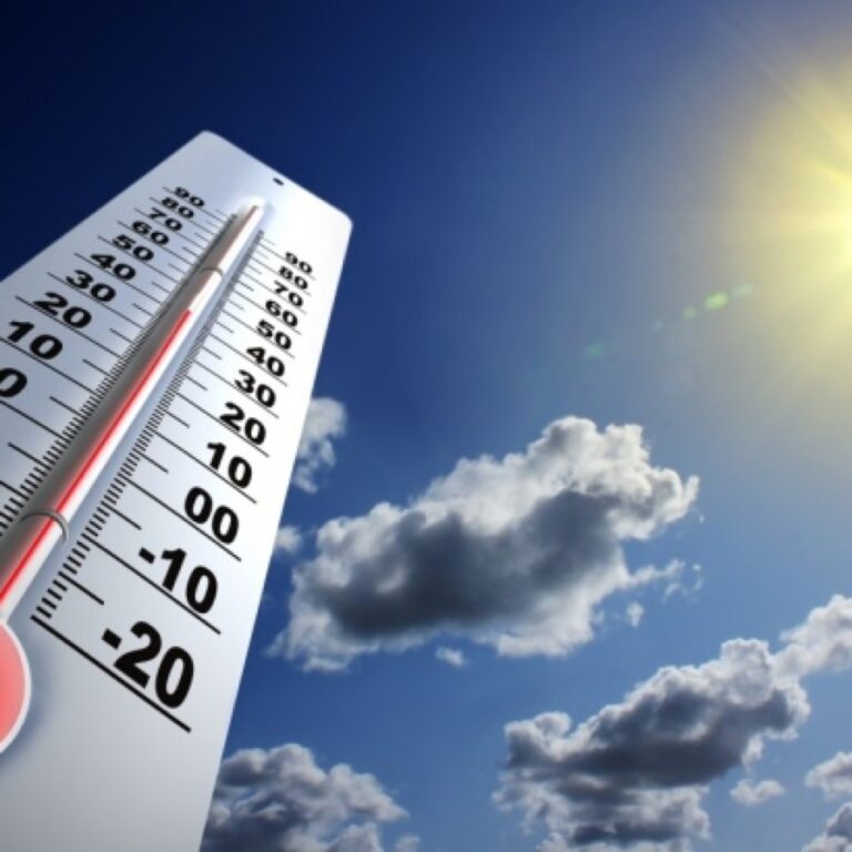 Cuidados fundamentales en épocas de altas temperaturas