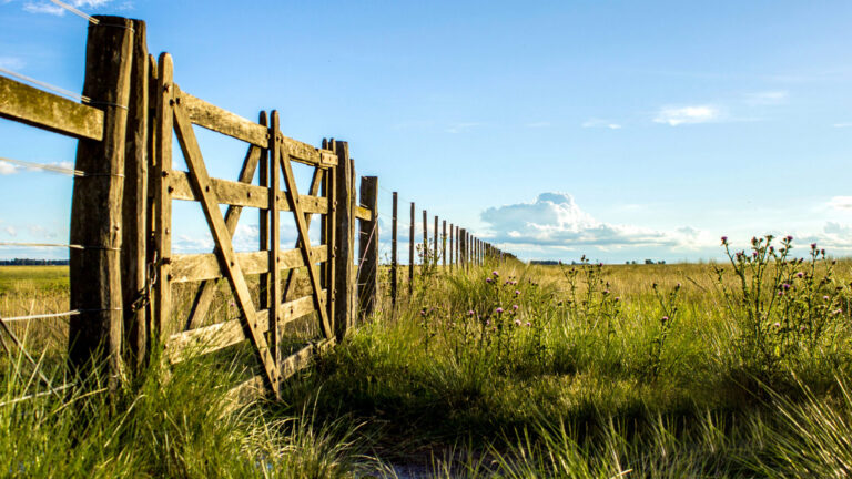 La Provincia eximió del Inmobiliario Rural a productores de Nueve de Julio