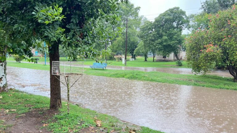 Acciones del Gobierno Municipal ante el temporal