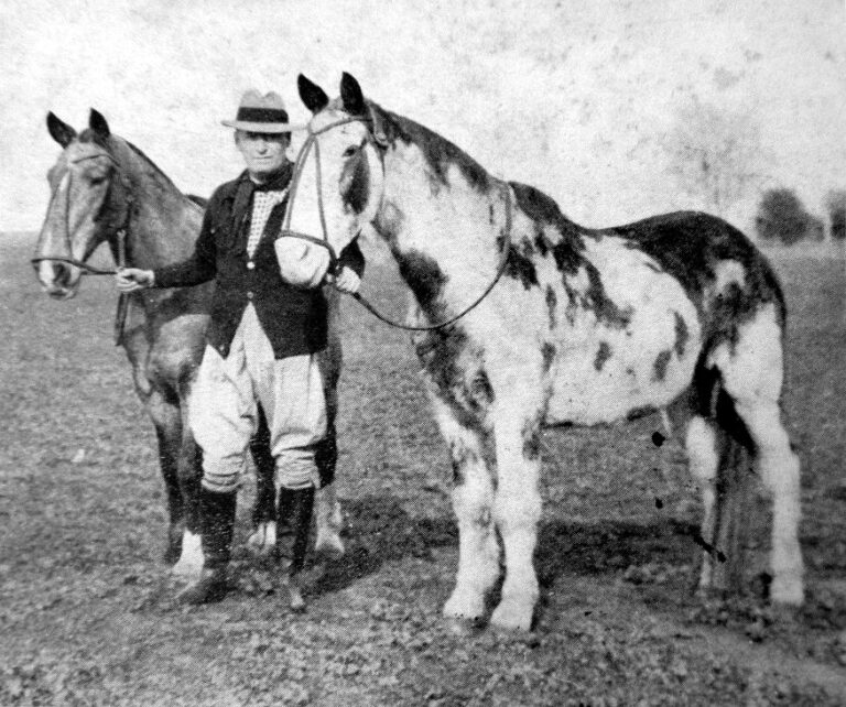 Hace 100 años los caballos argentinos Gato y Mancha caminaron de Argentina a Nueva York