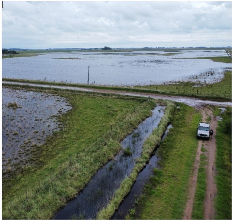 Piden decretar la Emergencia o Desastre Agropecuario en distritos de la cuarta sección electoral