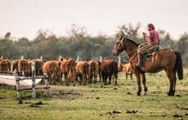 Día del Trabajador Rural: un homenaje al hombre y la mujer de campo