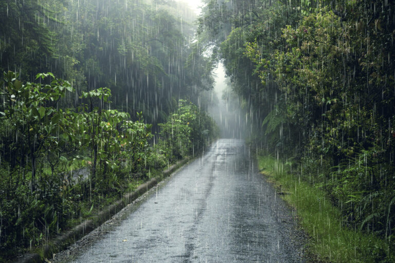 La lluvia en el partido de Nueve de Julio