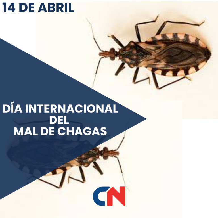 Día Mundial de la Enfermedad de Chagas, la dolencia silenciosa que afecta a millones