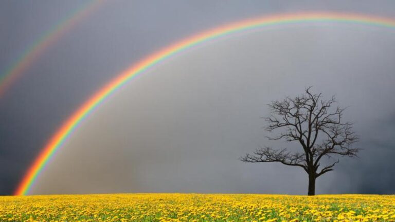 Día Mundial del Arco Iris