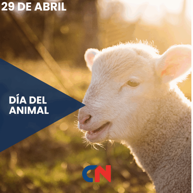 Día del Animal