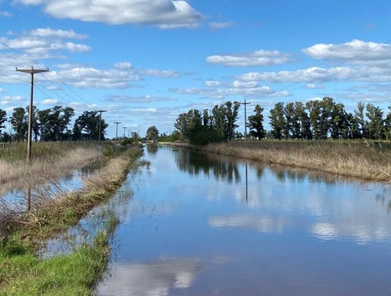 Se conoce el estado de los caminos rurales del Partido de Nueve de Julio