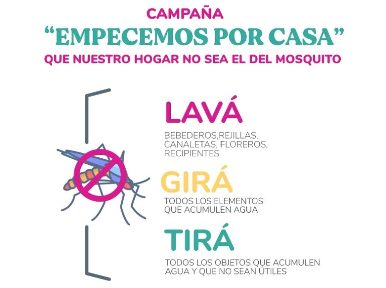 Recomendaciones para la prevención del dengue