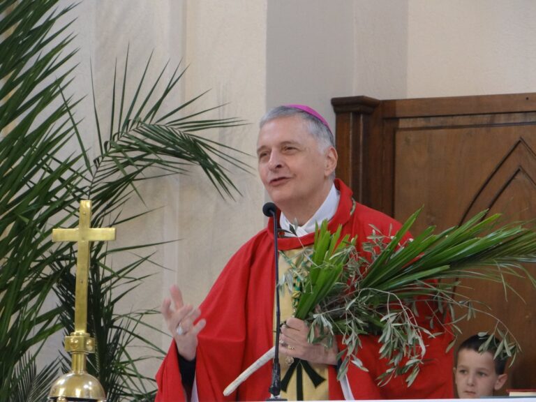 La Iglesia se prepara para vivir el Domingo de Ramos