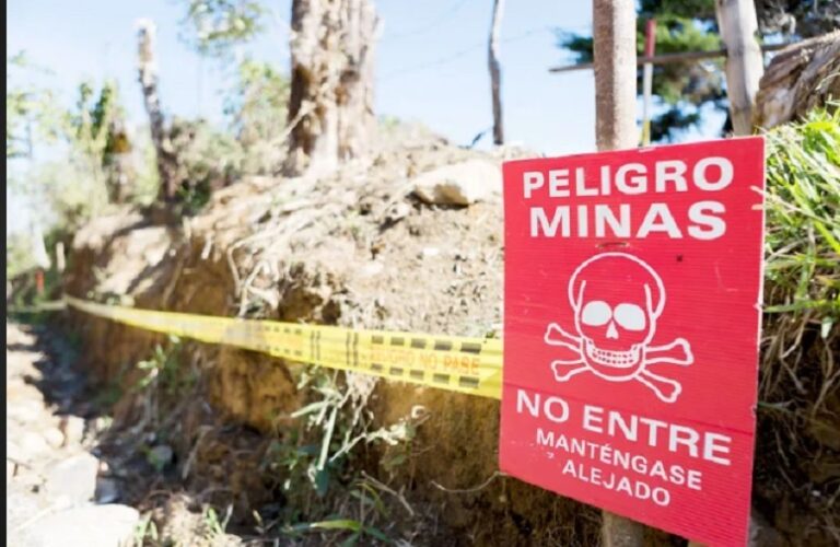 Día Internacional de Información sobre el Peligro de las Minas