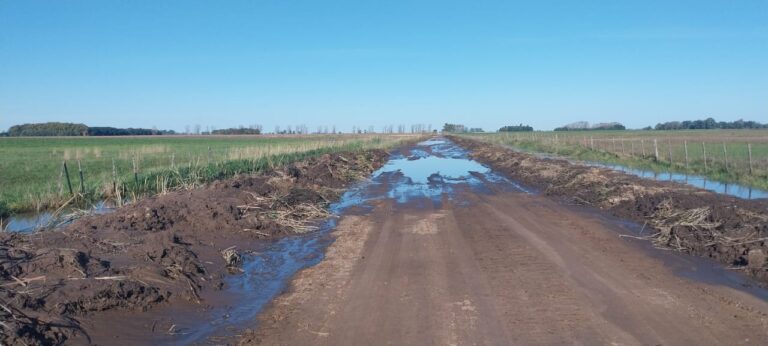 La Sociedad Rural de Nueve de Julio reclama soluciones estructurales por el mal estado de los caminos rurales