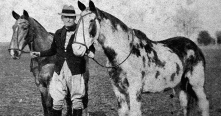 Gato y Mancha: A 100 años de la travesía de Aimé Tschiffely que unió un continente a lomo de caballo