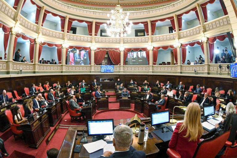 El Senado bonaerense aprobó la suspensión de las PASO para 2025