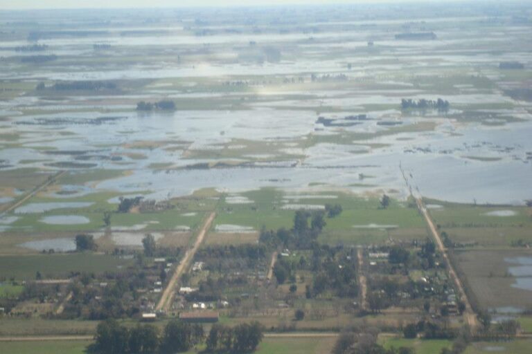 Nueve de Julio se sumó a los distritos declarados en emergencia agropecuaria