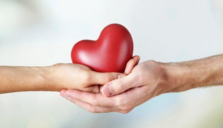 Día Nacional de la Donación de Órganos