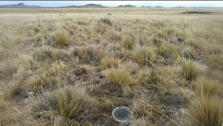 Huellas humanas sobran, lo que faltan son plantas
