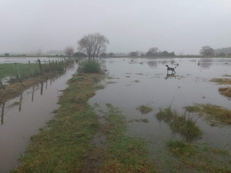 El campo le exige al Gobierno que reactive una obra clave para la provincia