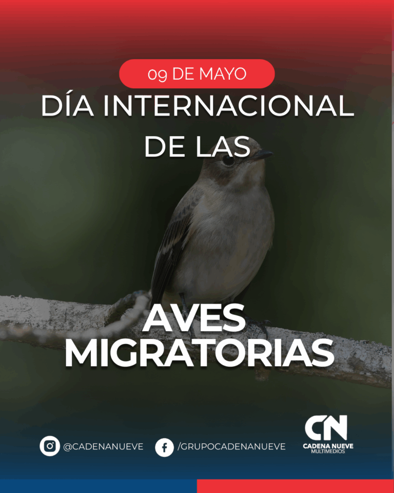 Día Mundial de las Aves Migratorias