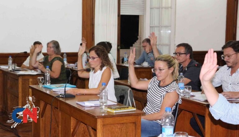 El Concejo Deliberante de Nueve de Julio debate un plan de regularización de deudas municipales