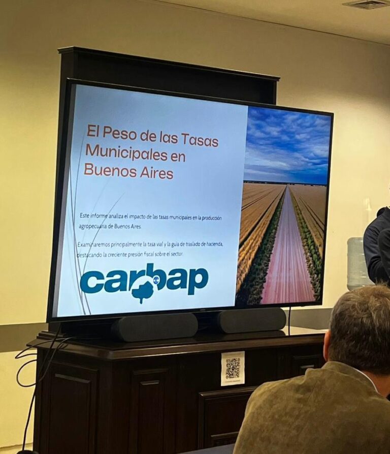 CARBAP presentó en Diputados un informe sobre las tasas municipales en la Provincia