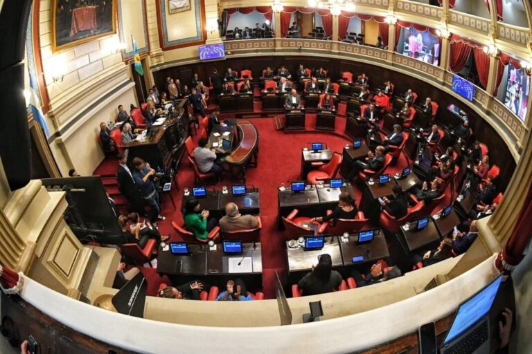 Se frena el debate por la reelección indefinida de legisladores ante divisiones en el oficialismo