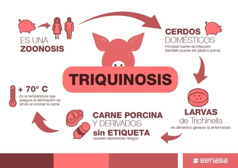 Claves para prevenir la triquinosis en la producción y el consumo de alimentos